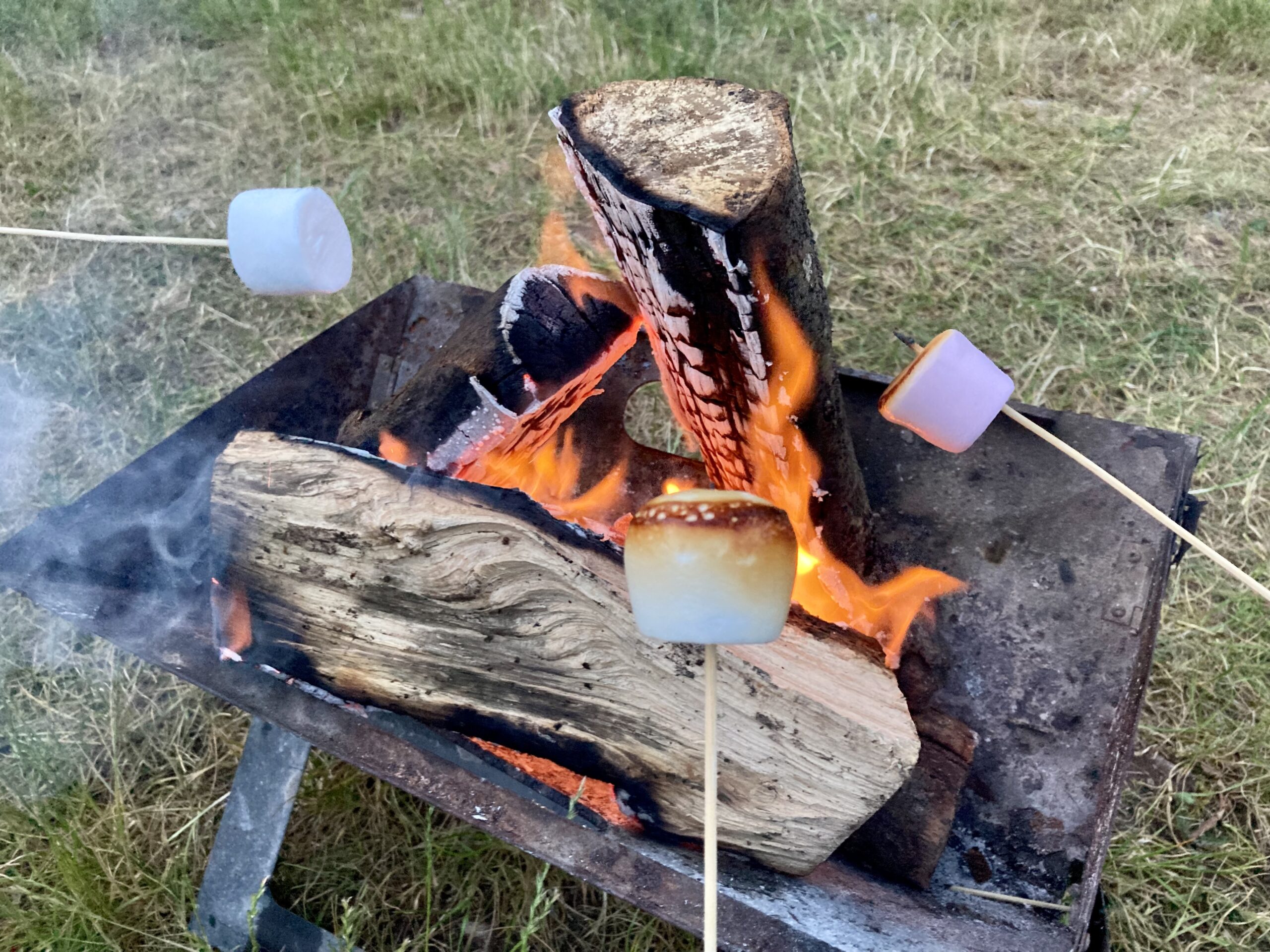 Marshmallows on the fire